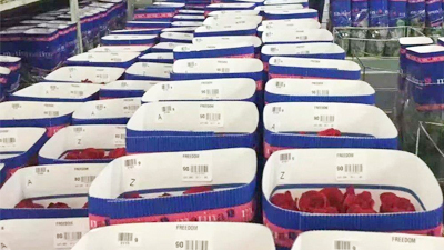 鮮花進(jìn)口
